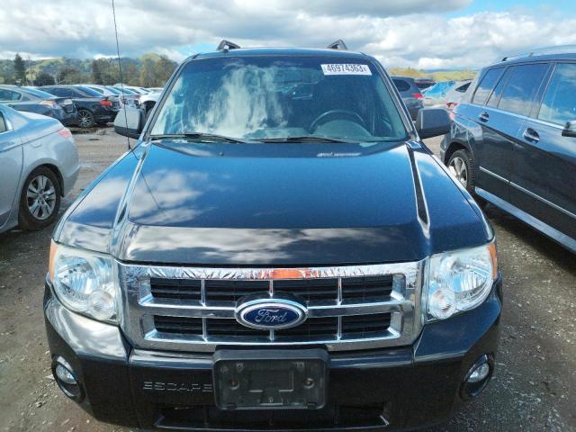 Photo 5 from auction – 2011 FORD ESCAPE XLT with VIN 1FMCU0DGXBKA14872