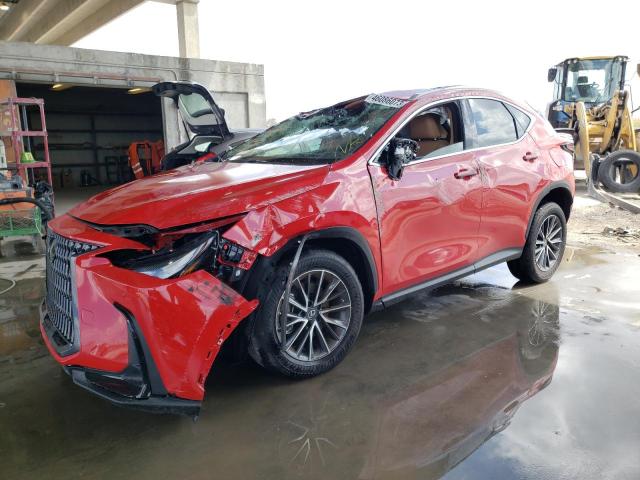 LEXUS NX 250 2023 with VIN 2T2GDCAZXPC004814 - Photo from auction
