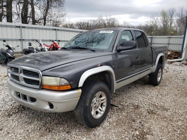 DODGE DAKOTA QUA 2003 with VIN 1D7HG48N43S100395 - Photo from auction