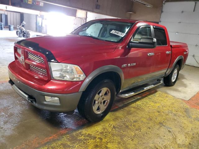 DODGE RAM 1500 2010 with VIN 1D7RV1CT9AS182572 - Photo from auction
