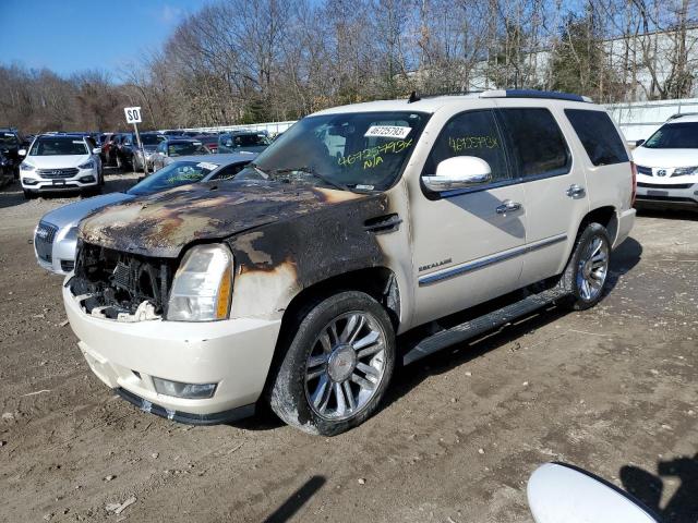 CADILLAC ESCALADE P 2011 with VIN 1GYS4CEF8BR101923 - Photo from auction
