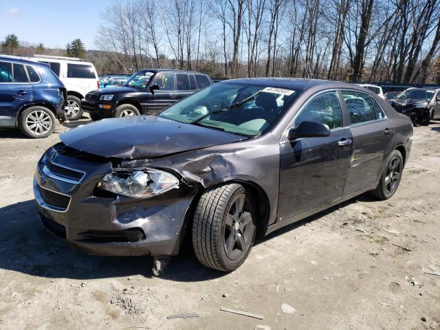 CHEVROLET MALIBU LS 2011 with VIN 1G1ZB5E12BF334099 - Photo from auction