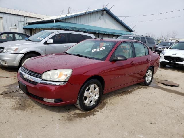 CHEVROLET MALIBU LT 2005 with VIN 1G1ZU54885F138665 - Photo from auction