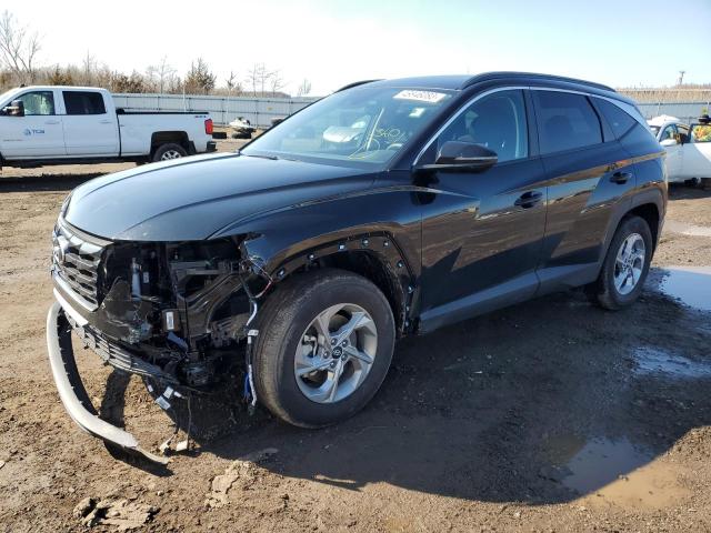 HYUNDAI TUCSON SEL 2023 with VIN 5NMJBCAE1PH207940 - Photo from auction