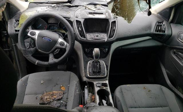 Photo 8 from auction – 2014 FORD ESCAPE SE with VIN 1FMCU0GX5EUA76197