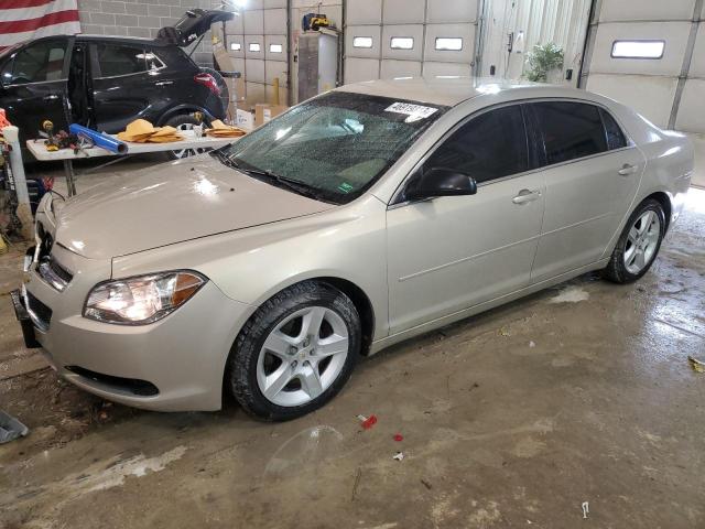 CHEVROLET MALIBU LS 2010 with VIN 1G1ZB5EB0AF241962 - Photo from auction