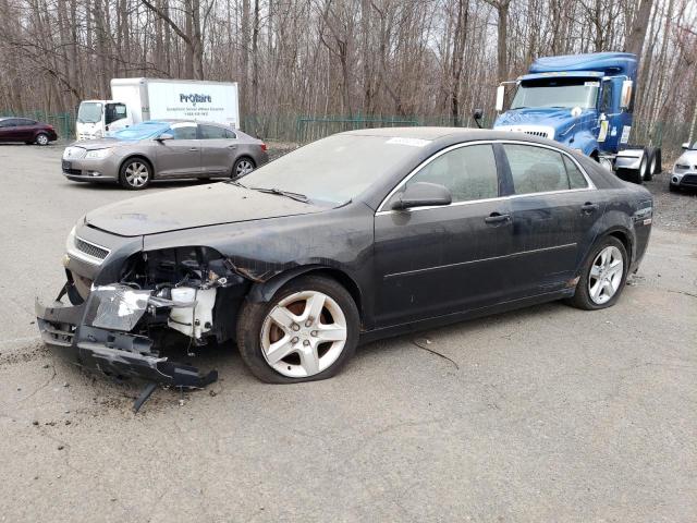 CHEVROLET MALIBU LS 2010 with VIN 1G1ZB5EB4AF307865 - Photo from auction