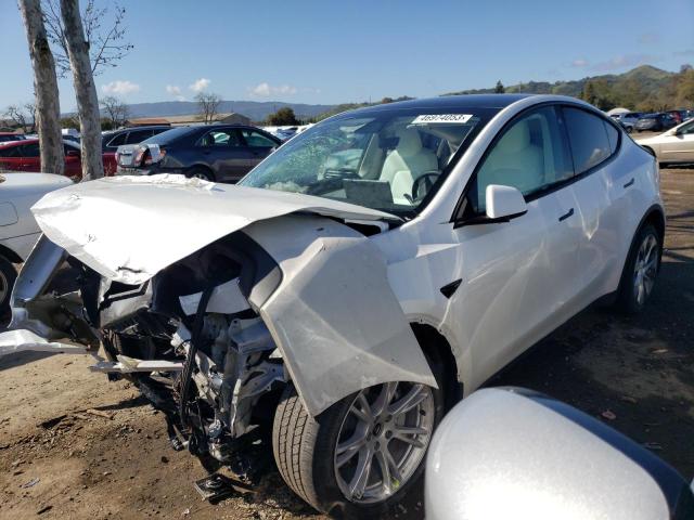 TESLA MODEL Y 2021 with VIN 5YJYGDEE8MF282003 - Photo from auction