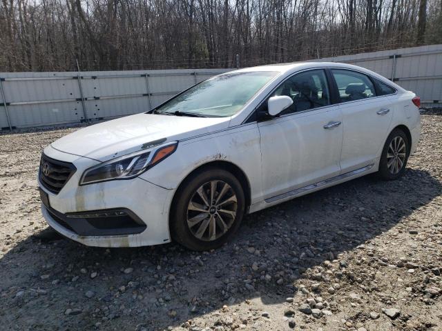 HYUNDAI SONATA SPO 2017 with VIN 5NPE34AF5HH499464 - Photo from auction