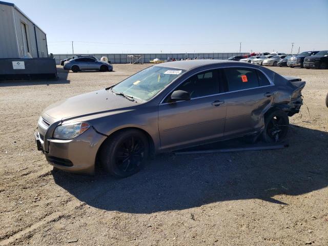 CHEVROLET MALIBU LS 2012 with VIN 1G1ZB5E02CF304626 - Photo from auction