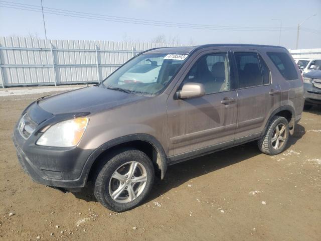 HONDA CR-V EX 2004 with VIN JHLRD789X4C801906 - Photo from auction