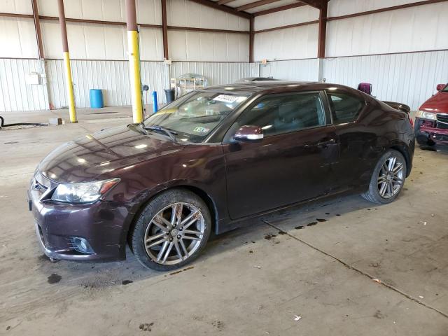 TOYOTA SCION TC 2011 with VIN JTKJF5C73B3000822 - Photo from auction