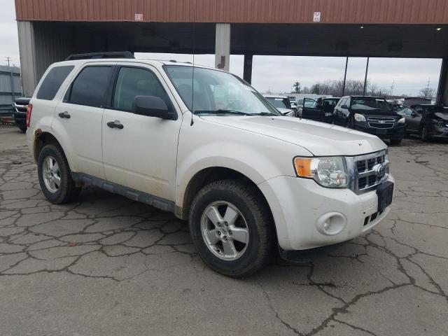 Photo 4 from auction – 2010 FORD ESCAPE XLT with VIN 1FMCU0D77AKB19349
