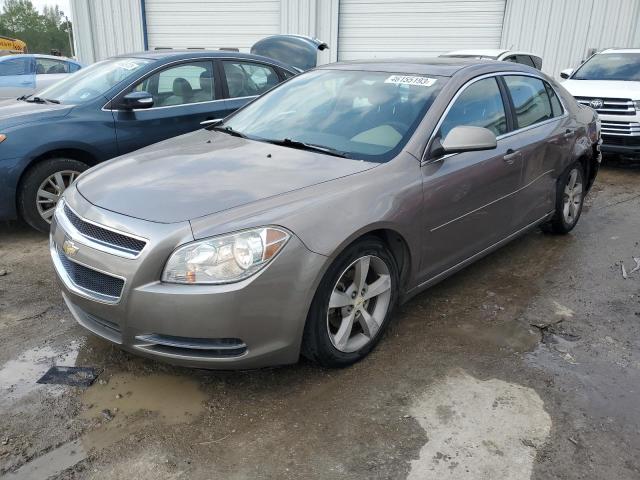 CHEVROLET MALIBU 1LT 2011 with VIN 1G1ZC5E19BF337093 - Photo from auction