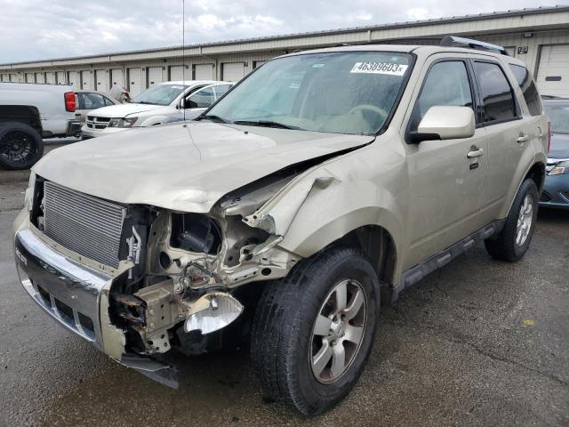 FORD ESCAPE LIM 2010 with VIN 1FMCU9E75AKC03320 - Photo from auction