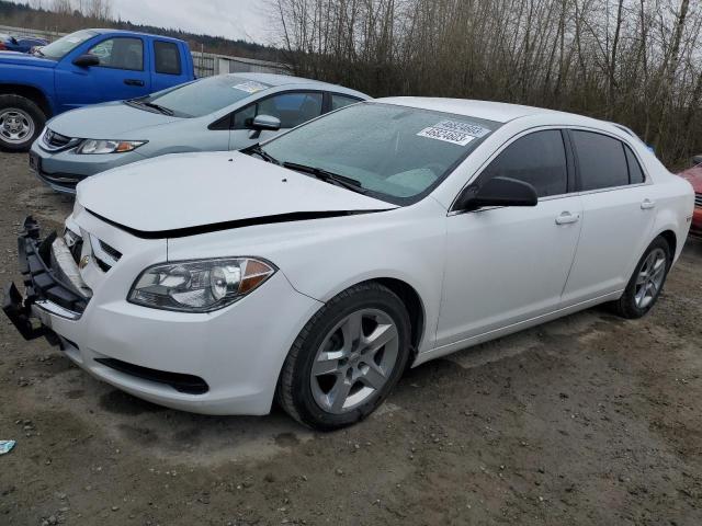 CHEVROLET MALIBU LS 2011 with VIN 1G1ZB5E11BF152166 - Photo from auction