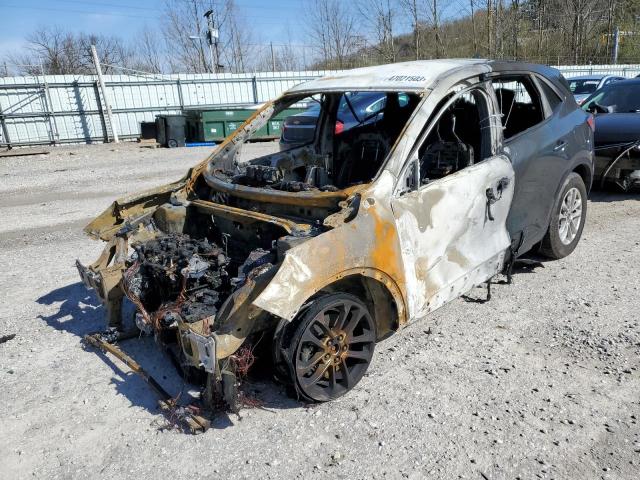 FORD ESCAPE SE 2020 with VIN 1FMCU9G65LUA67122 - Photo from auction
