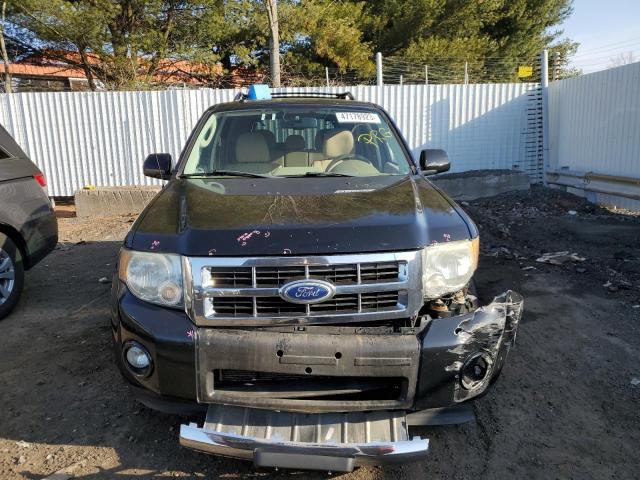 Photo 5 from auction – 2010 FORD ESCAPE LIM with VIN 1FMCU9EG4AKD30091
