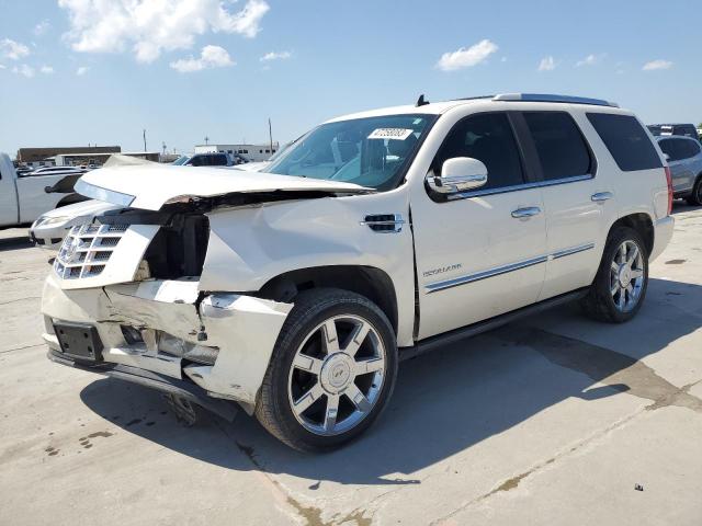 CADILLAC ESCALADE P 2010 with VIN 1GYUKCEF9AR194965 - Photo from auction