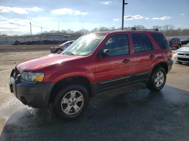 FORD ESCAPE XLT 2007 with VIN 1FMYU03197KA13867 - Photo from auction