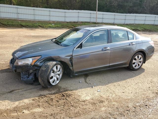 HONDA ACCORD EXL 2010 with VIN 1HGCP2F84AA081731 - Photo from auction