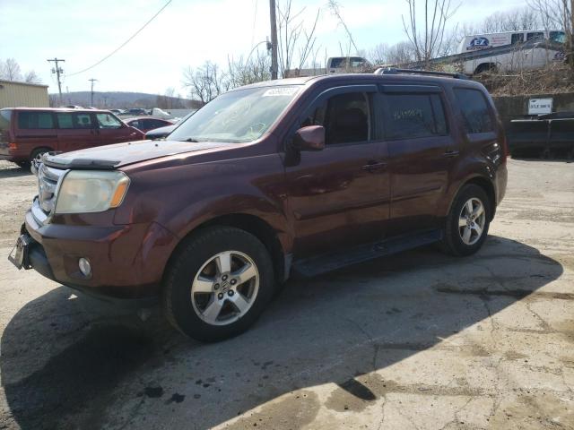 HONDA PILOT EXL 2009 с VIN 5FNYF48539B015597 - Фото с аукциона