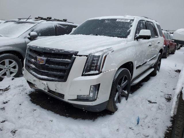 CADILLAC ESCALADE P 2016 with VIN 1GYS4CKJ6GR251044 - Photo from auction