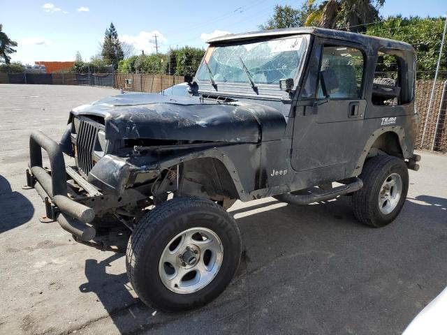 JEEP WRANGLER / 1995 with VIN 1J4FY29S8SP215309 - Photo from auction