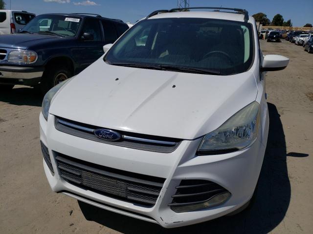 Photo 5 from auction – 2014 FORD ESCAPE SE with VIN 1FMCU0GX1EUD94902