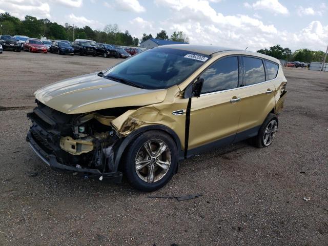 Photo 1 from auction – 2014 FORD ESCAPE SE with VIN 1FMCU0G94EUD00027