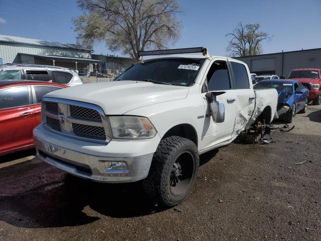 DODGE RAM 1500 2009 with VIN 1D3HV13T09S805652 - Photo from auction