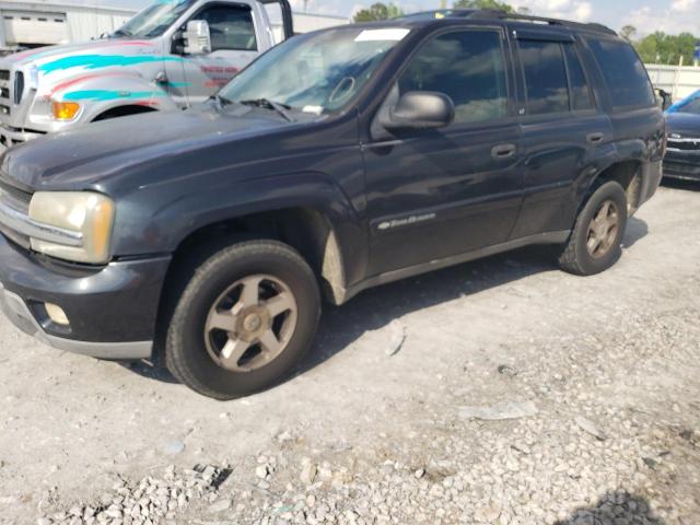 Photo 1 from auction – 2003 CHEVROLET TRAILBLAZE with VIN 1GNDS13S932375075