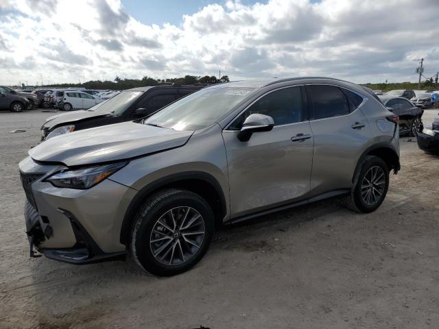 LEXUS NX 250 2023 with VIN 2T2ADCAZ5PC004788 - Photo from auction