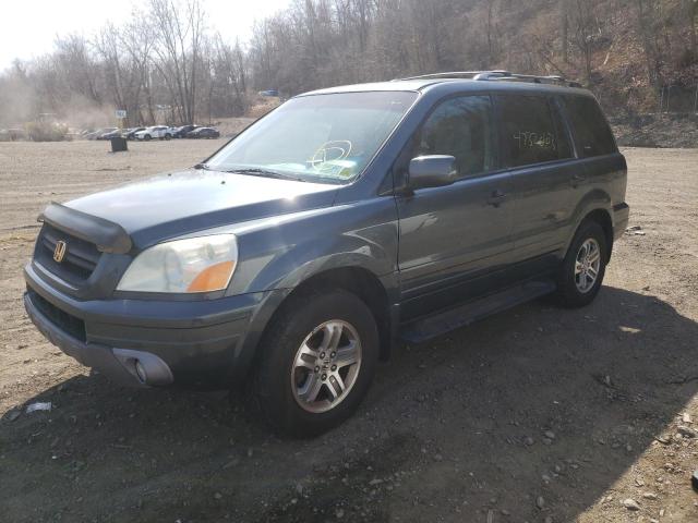 HONDA PILOT EX 2004 with VIN 5FNYF18424B009773 - Photo from auction