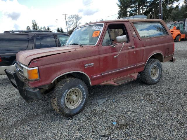 FORD BRONCO U10 1991 with VIN 1FMEU15H2MLA66399 - Photo from auction
