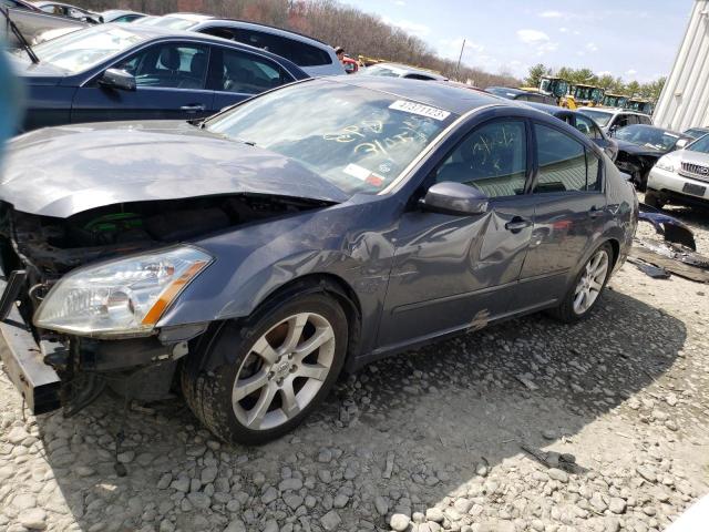 NISSAN MAXIMA SE 2007 with VIN 1N4BA41EX7C856296 - Photo from auction