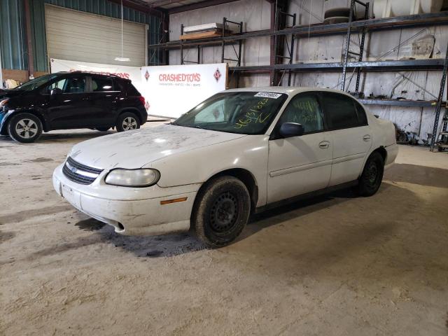 CHEVROLET MALIBU 2003 with VIN 1G1ND52J93M512312 - Photo from auction