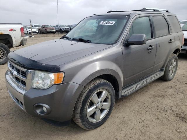 Photo 1 from auction – 2009 FORD ESCAPE LIM with VIN 1FMCU94G29KC64511