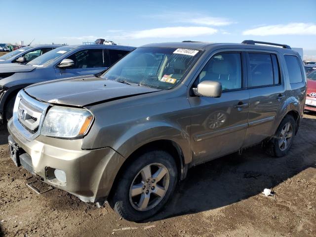 HONDA PILOT EXL 2010 with VIN 5FNYF4H57AB023691 - Photo from auction