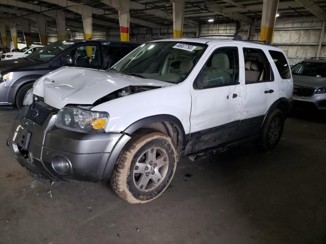 FORD ESCAPE XLT 2005 with VIN 1FMYU03175KB03791 - Photo from auction