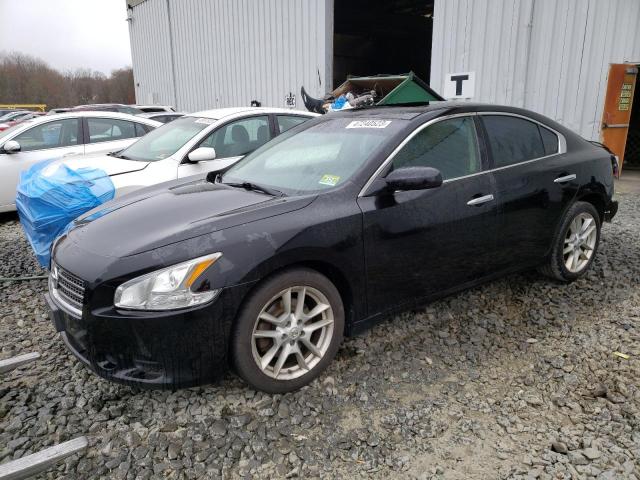 NISSAN MAXIMA S 2010 with VIN 1N4AA5AP6AC851395 - Photo from auction