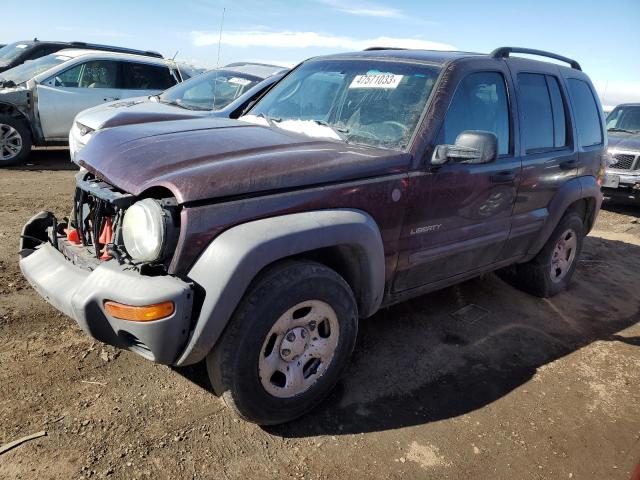 JEEP LIBERTY SP 2004 with VIN 1J4GL48K24W223446 - Photo from auction