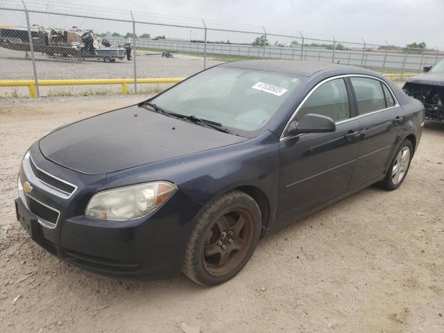 CHEVROLET MALIBU LS 2010 with VIN 1G1ZA5E06AF254426 - Photo from auction
