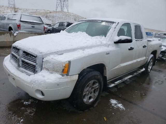 DODGE DAKOTA 2006 with VIN 1D7HW48N36S600152 - Photo from auction