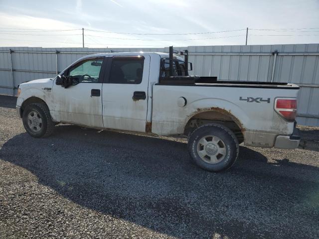 Photo 2 from auction – 2009 FORD F150 SUPER with VIN 1FTRW14829FB03474