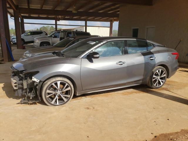 NISSAN MAXIMA 3.5 2017 with VIN 1N4AA6AP1HC382636 - Photo from auction