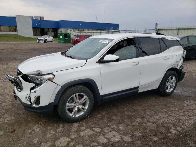 GMC TERRAIN SL 2019 with VIN 3GKALMEV2KL174279 - Photo from auction