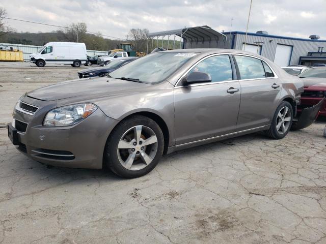 CHEVROLET MALIBU 1LT 2011 with VIN 1G1ZC5E13BF258826 - Photo from auction