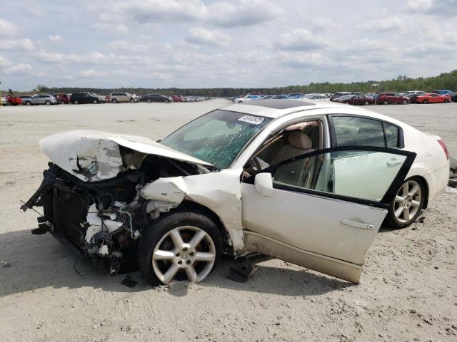 NISSAN MAXIMA SE 2006 with VIN 1N4BA41EX6C846754 - Photo from auction