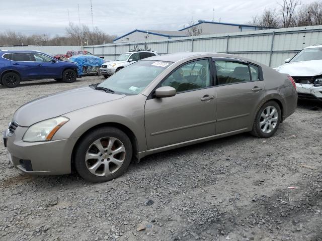 NISSAN MAXIMA SE 2008 with VIN 1N4BA41E58C830013 - Photo from auction